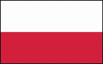 Polish Flag Polish Flag